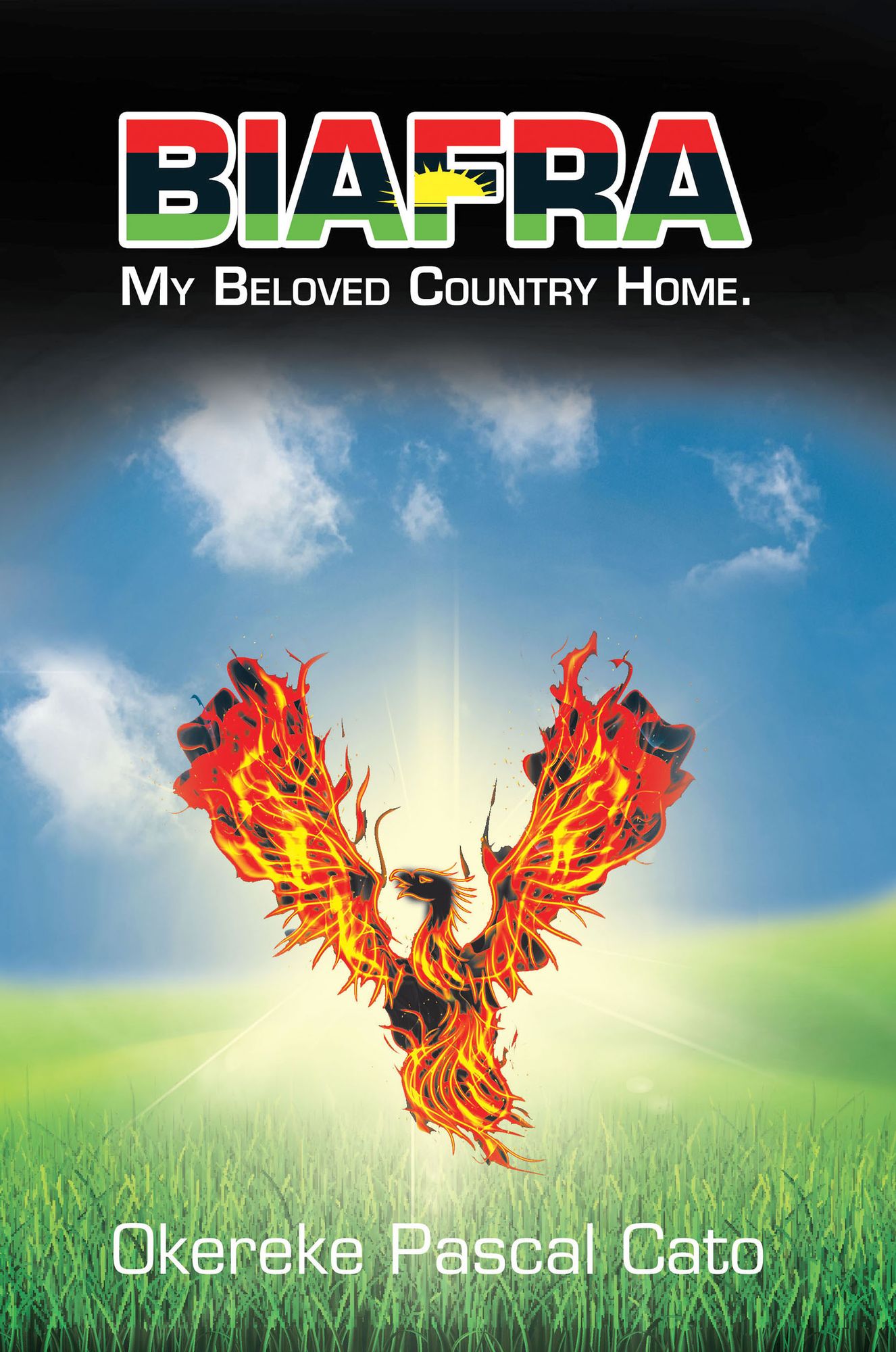 Biafra: My Beloved Country Home.
