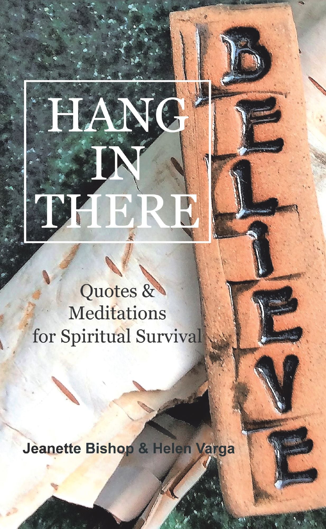 Hang in There: Quotes & Meditations for Spiritual Survival