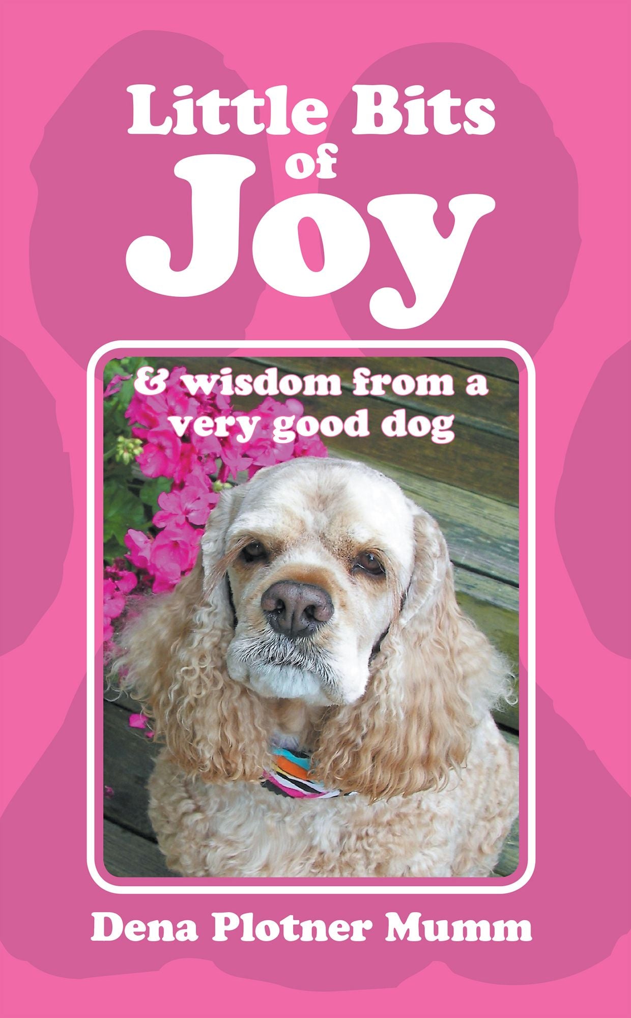 Little Bits of Joy