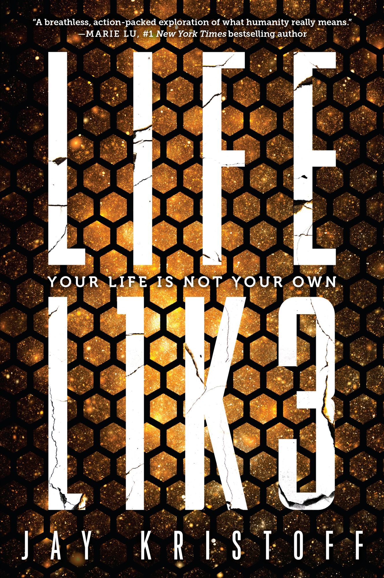 Life L1k3 : Your Life Is Not Your Own