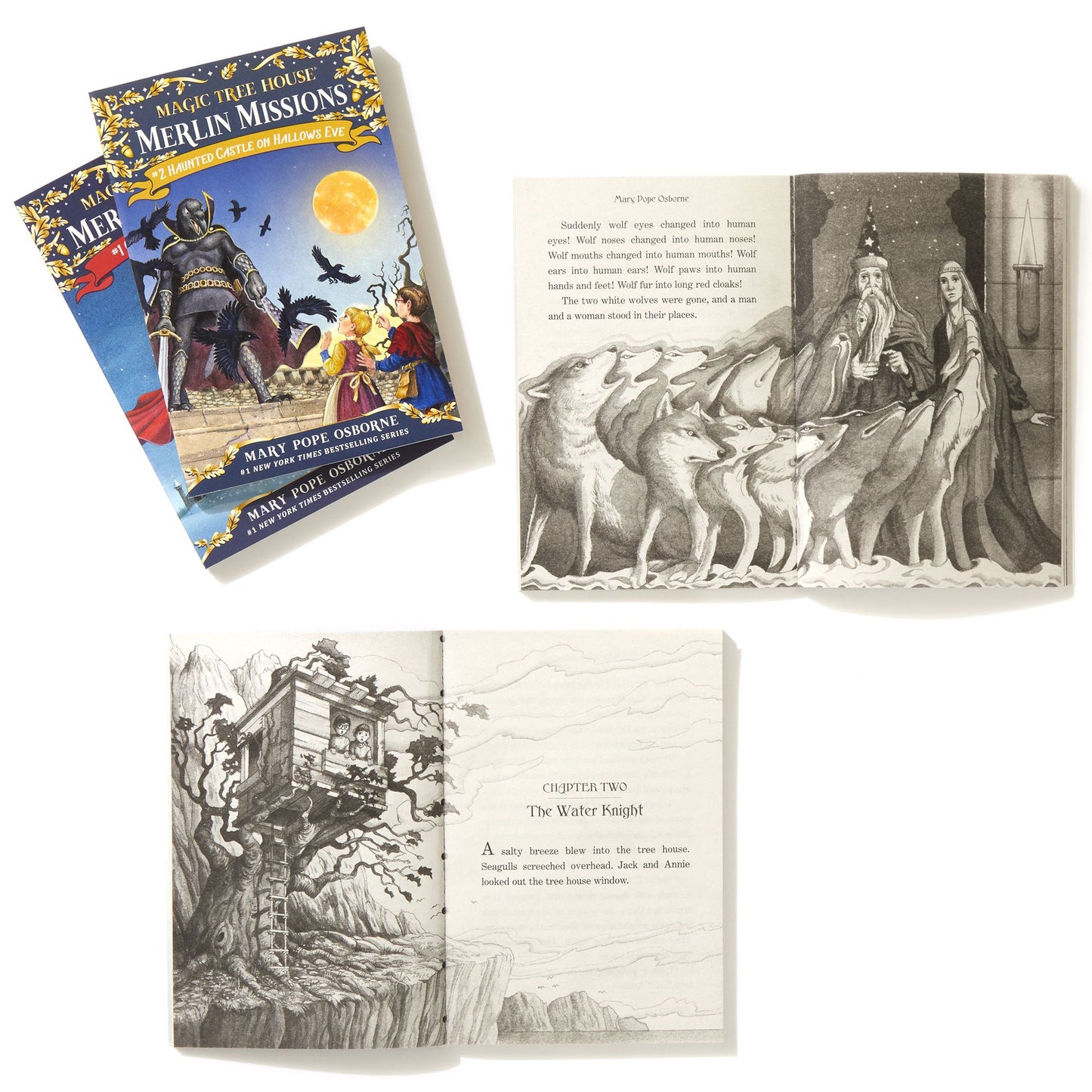 Magic Tree House Merlin Mission 1-4 Boxed Set