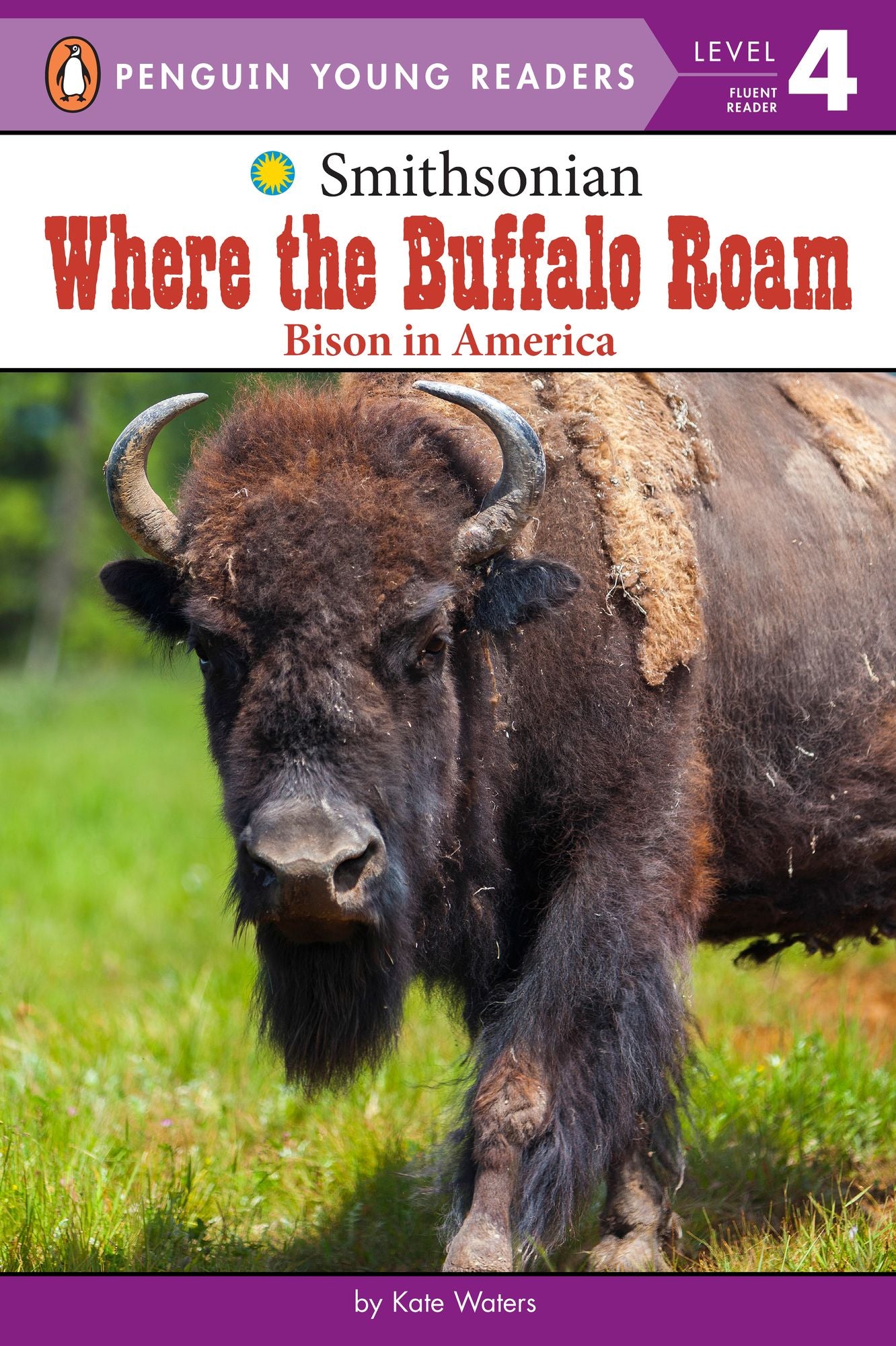 Where the Buffalo Roam: Bison in America