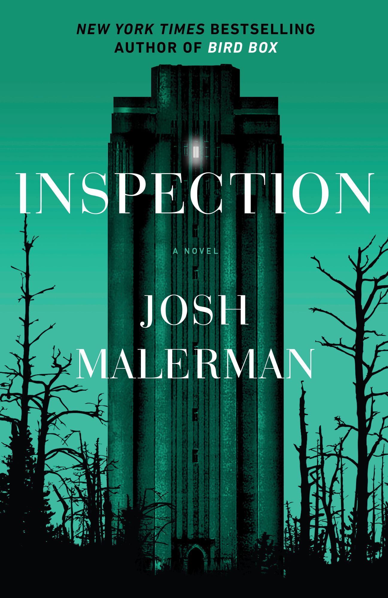 Inspection: A Novel
