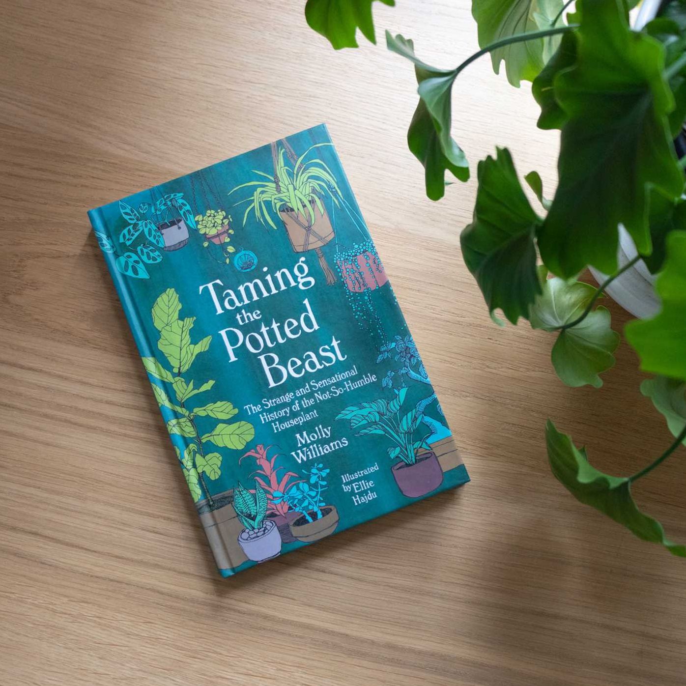 Taming the Potted Beast: The Strange and Sensational History of the Not-So-Humble Houseplant