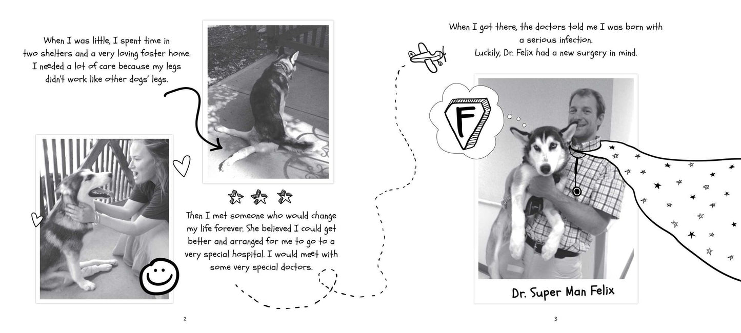 Antoine's Tale: An Extraordinary Shelter Dog's Journey