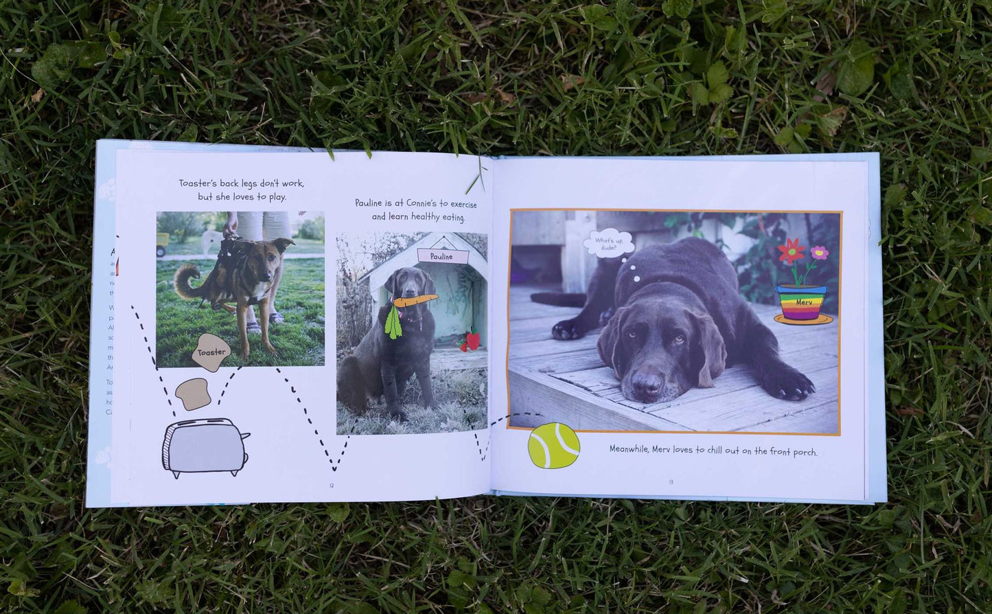 Antoine's Tale: An Extraordinary Shelter Dog's Journey