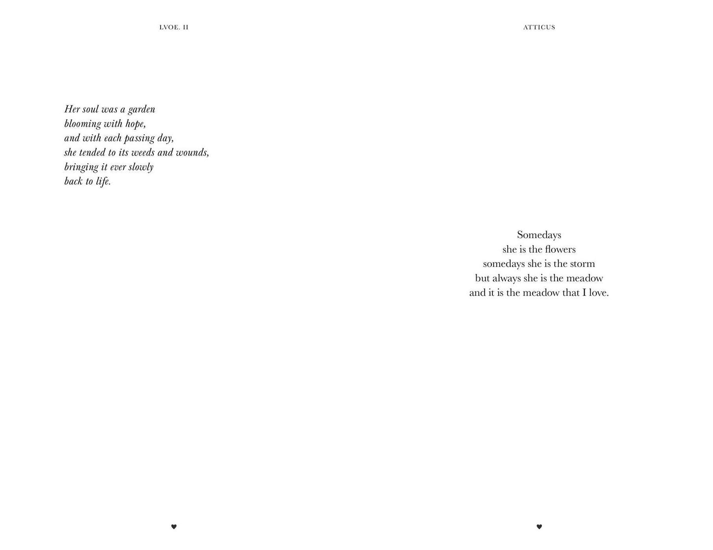 LVOE. Volume II