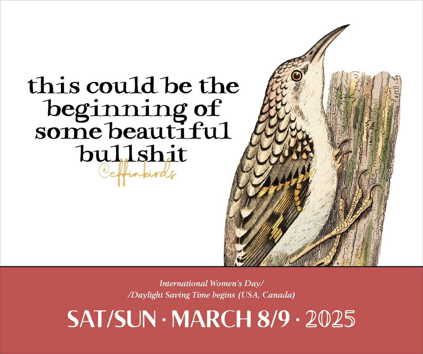 2025 Effin' Birds Day-to-Day Desk Calendar