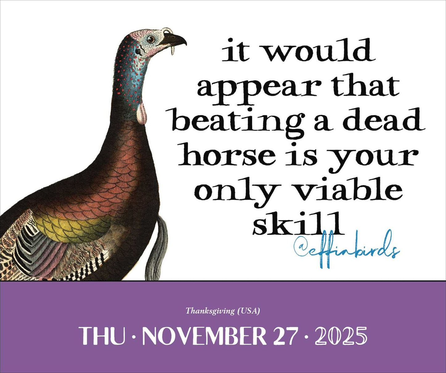 2025 Effin' Birds Day-to-Day Desk Calendar