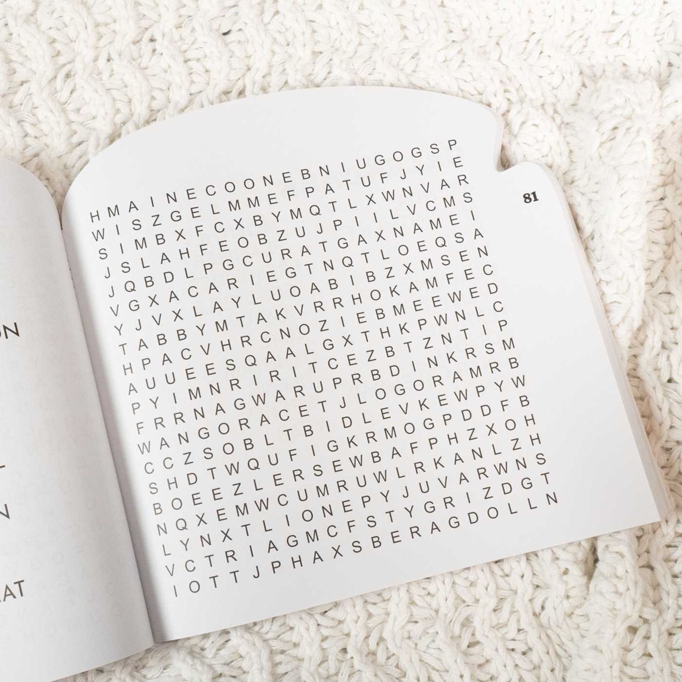 Armchair Puzzlers: Large Print Word Search