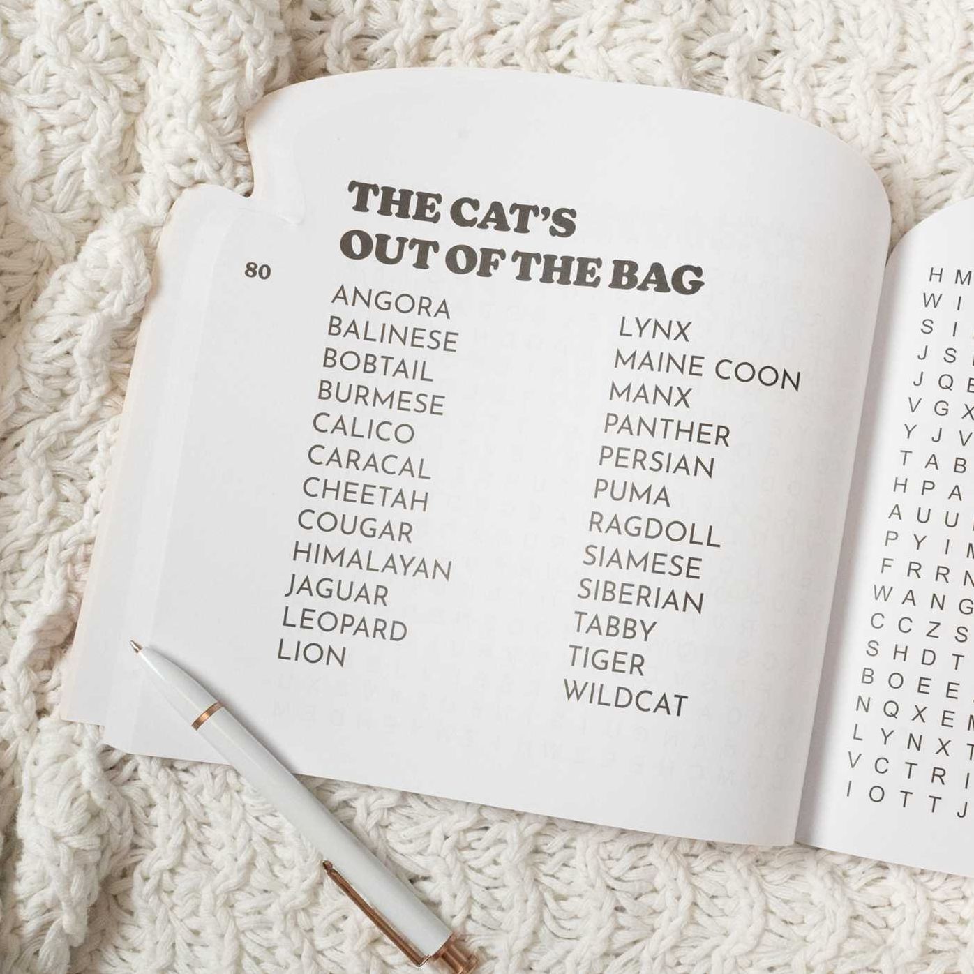 Armchair Puzzlers: Large Print Word Search