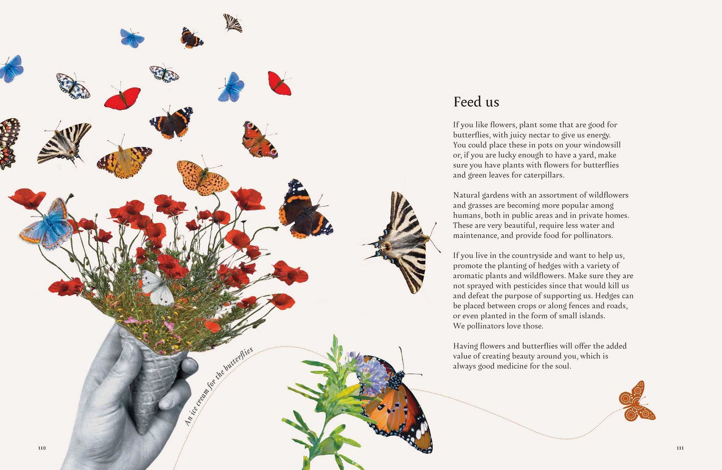 On a Butterfly's Wing: Lessons from Nature on Embracing Change