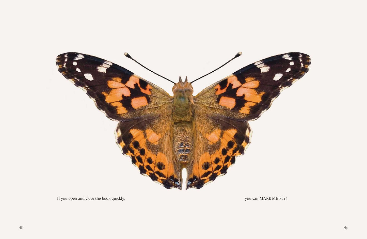 On a Butterfly's Wing: Lessons from Nature on Embracing Change