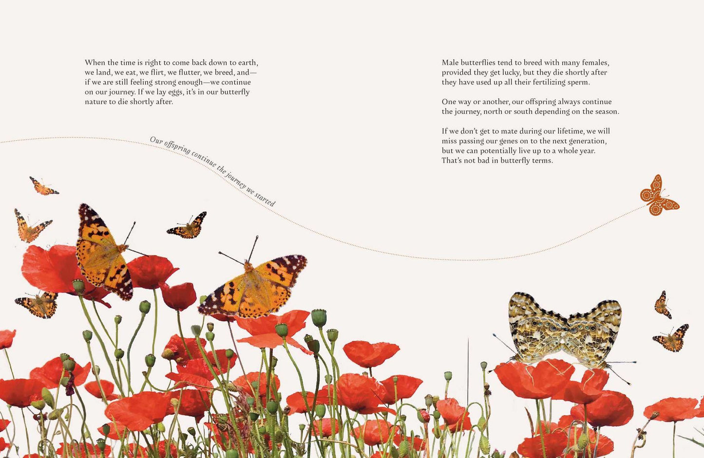 On a Butterfly's Wing: Lessons from Nature on Embracing Change