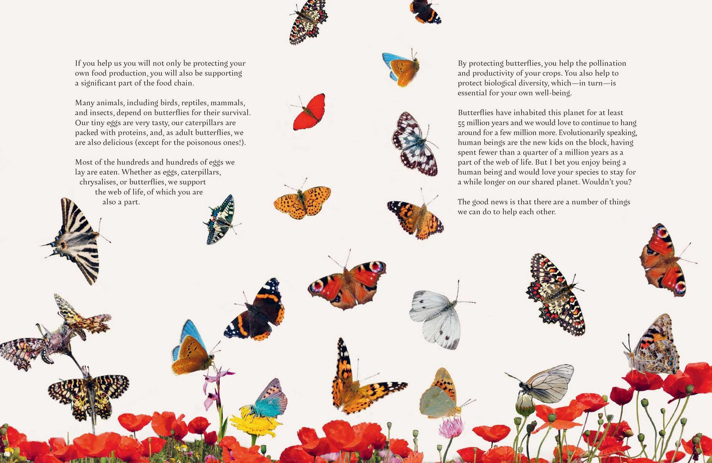 On a Butterfly's Wing: Lessons from Nature on Embracing Change