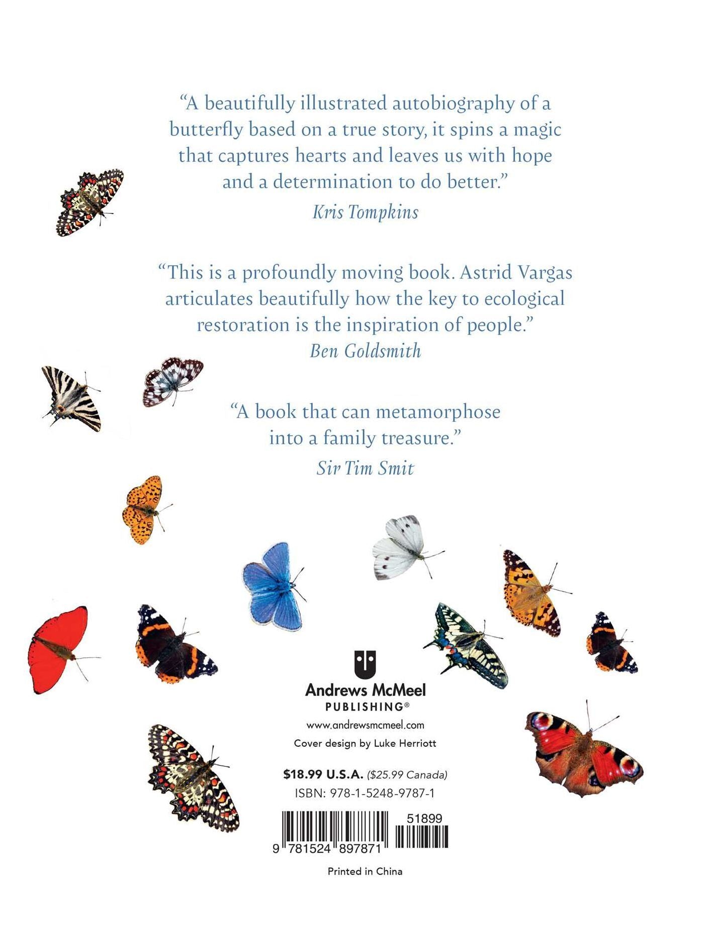 On a Butterfly's Wing: Lessons from Nature on Embracing Change
