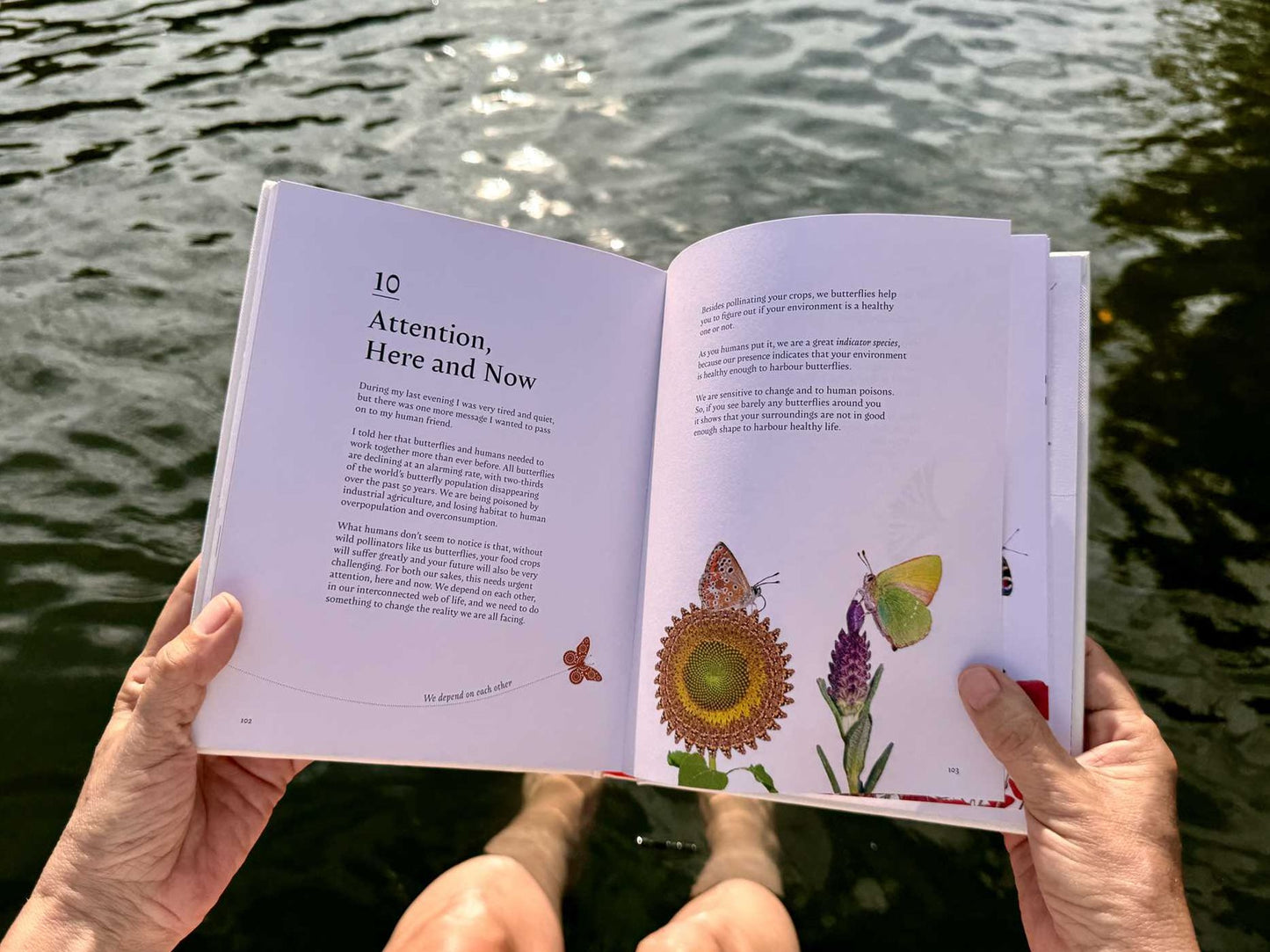 On a Butterfly's Wing: Lessons from Nature on Embracing Change