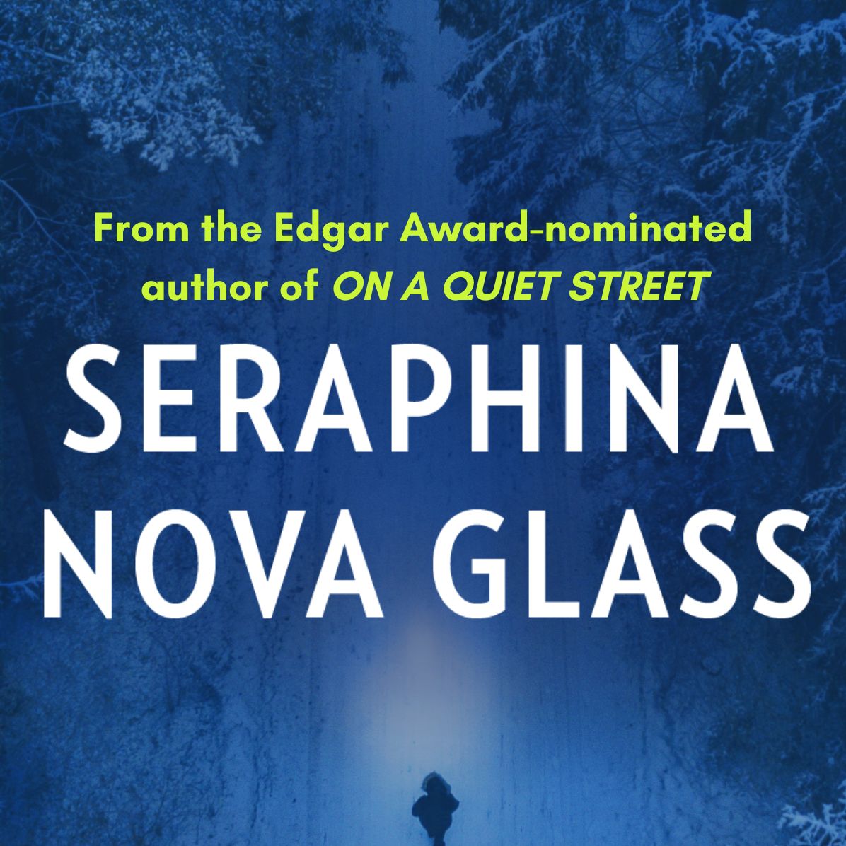 Nothing Ever Happens Here: A Thriller