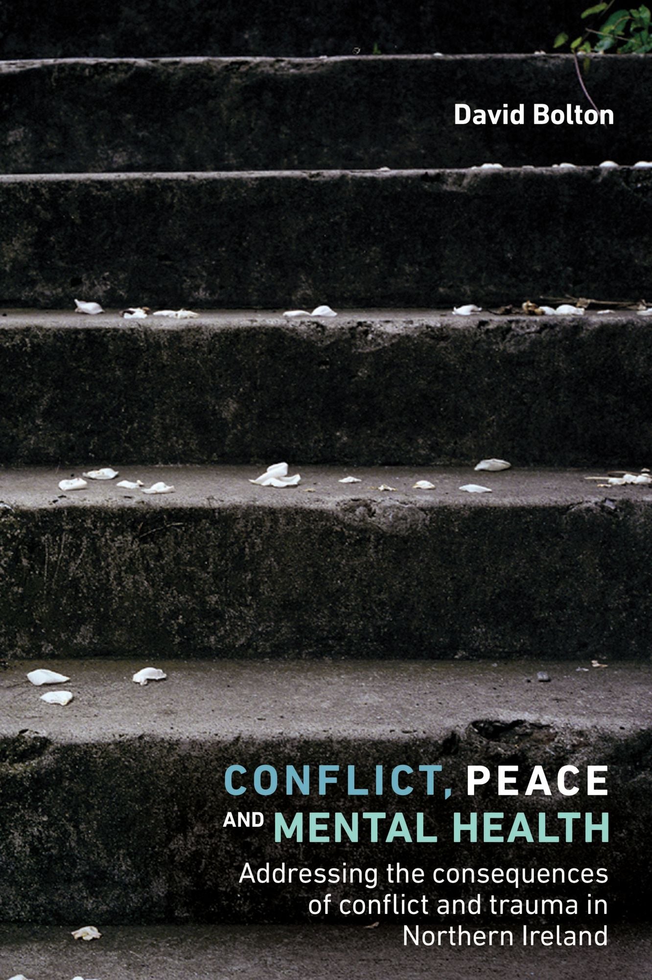 Conflict, Peace and Mental Health: Addressing the Consequences of Conflict and Trauma in Northern Ireland