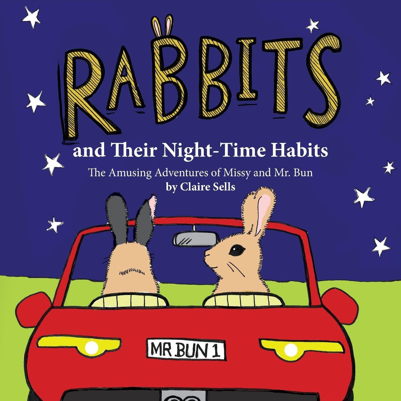 Rabbits and Their Night-Time Habits: (The Amusing Adventures of Missy and Mr. Bun)