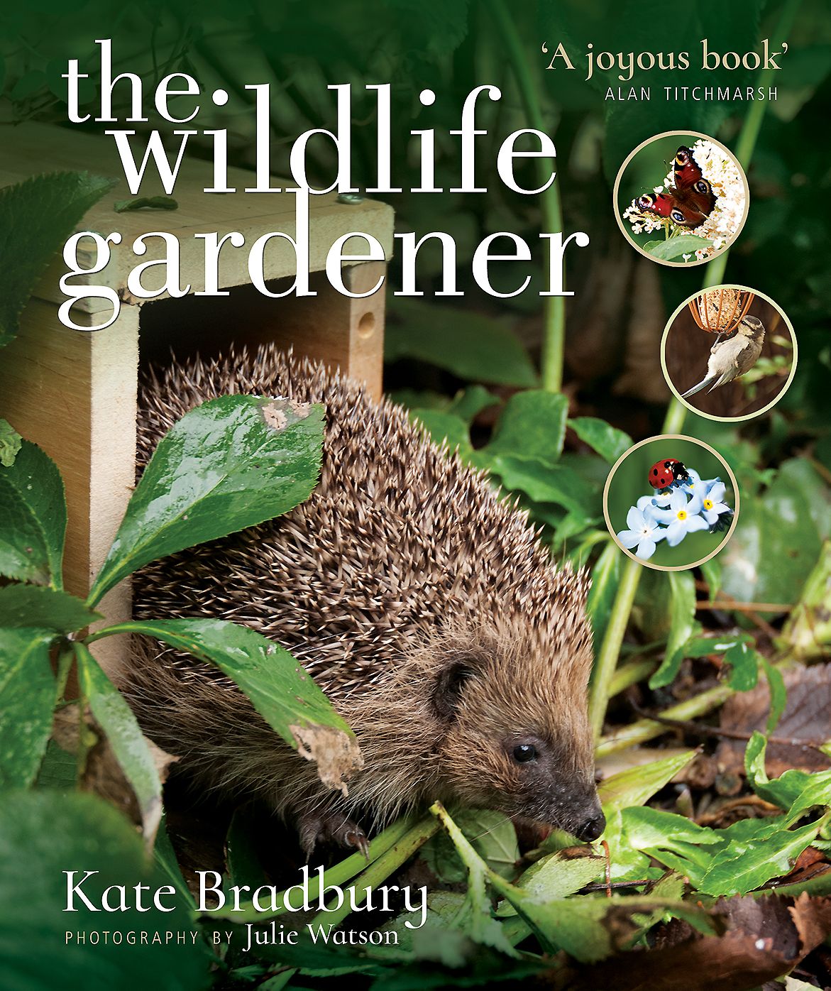 The Wildlife Gardener : Creating a Haven for Birds, Bees and Butterflies