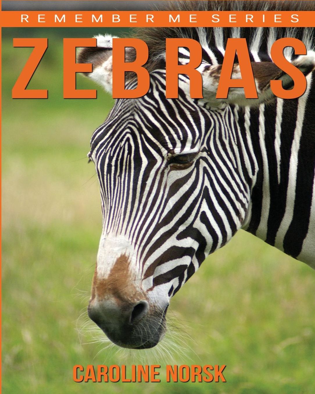 Zebras: Amazing Photos & Fun Facts Book About Zebras For Kids