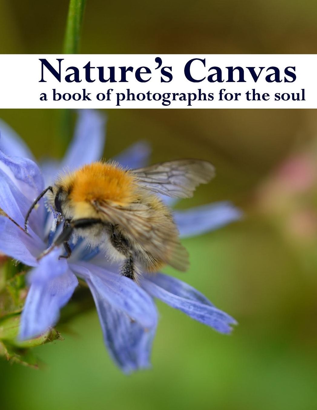 Nature's Canvas, a book of photographs for the soul: a coffee table book of photographs of nature, relaxing images to enjoy and share