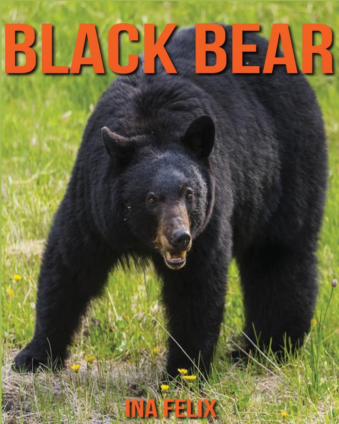 Black Bear: Children Book of Fun Facts & Amazing Photos on Animals in Nature - A Wonderful Black Bear Book for Kids aged 3-7