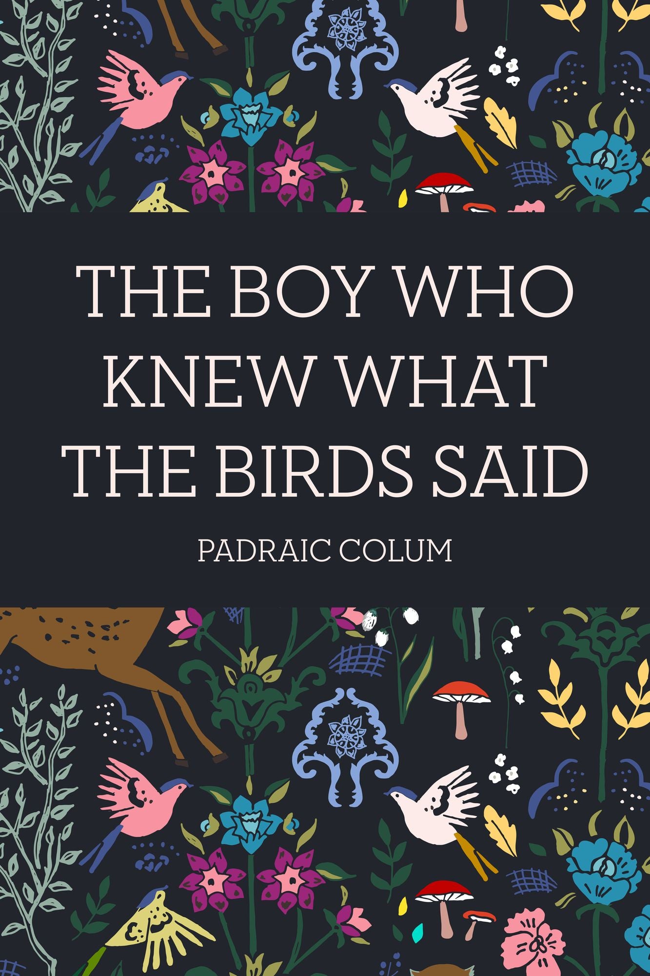 The Boy Who Knew What The Birds Said