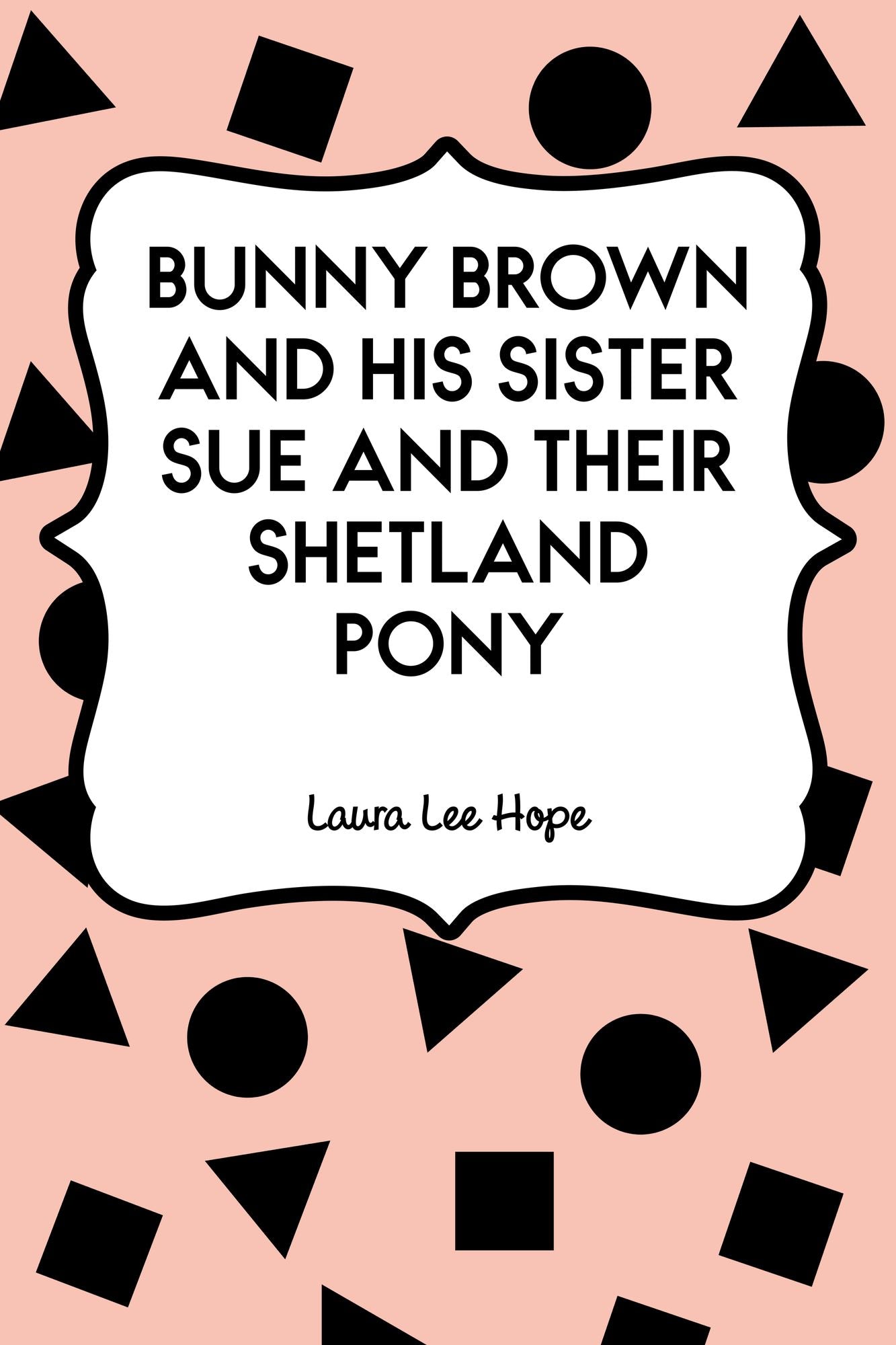 Bunny Brown and His Sister Sue and Their Shetland Pony