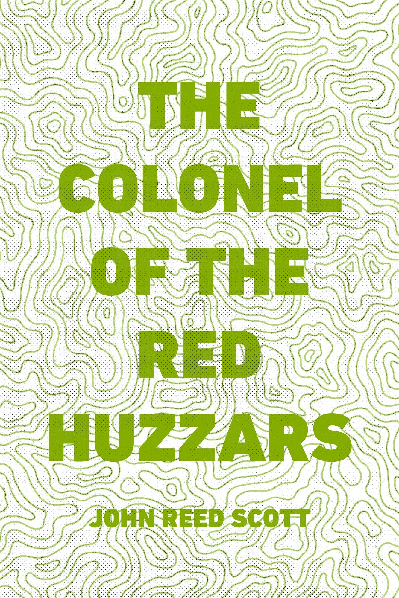 The Colonel of the Red Huzzars