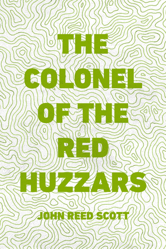 The Colonel of the Red Huzzars