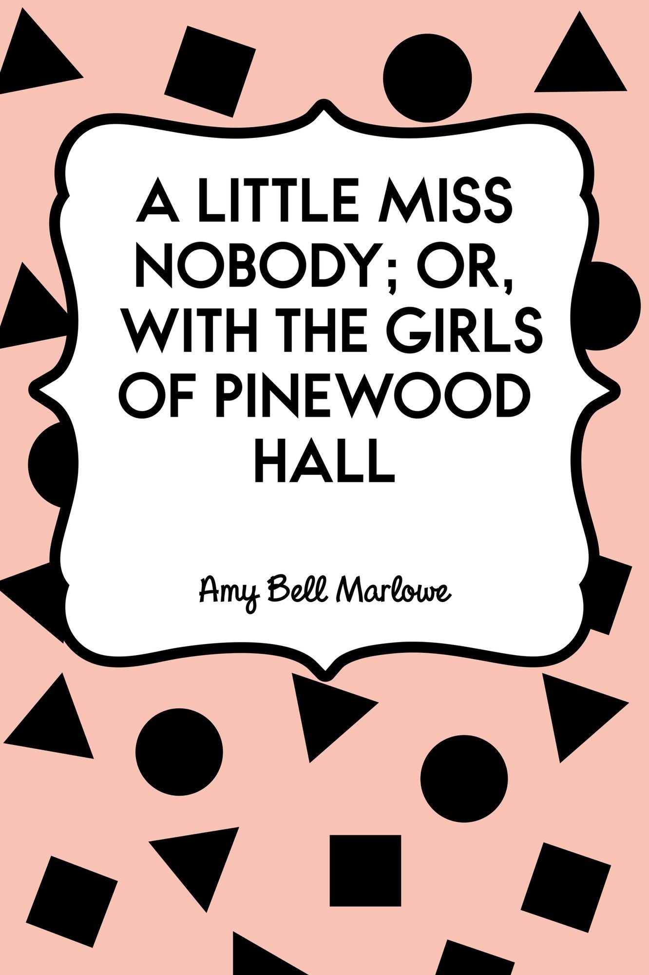 A Little Miss Nobody; Or, With the Girls of Pinewood Hall