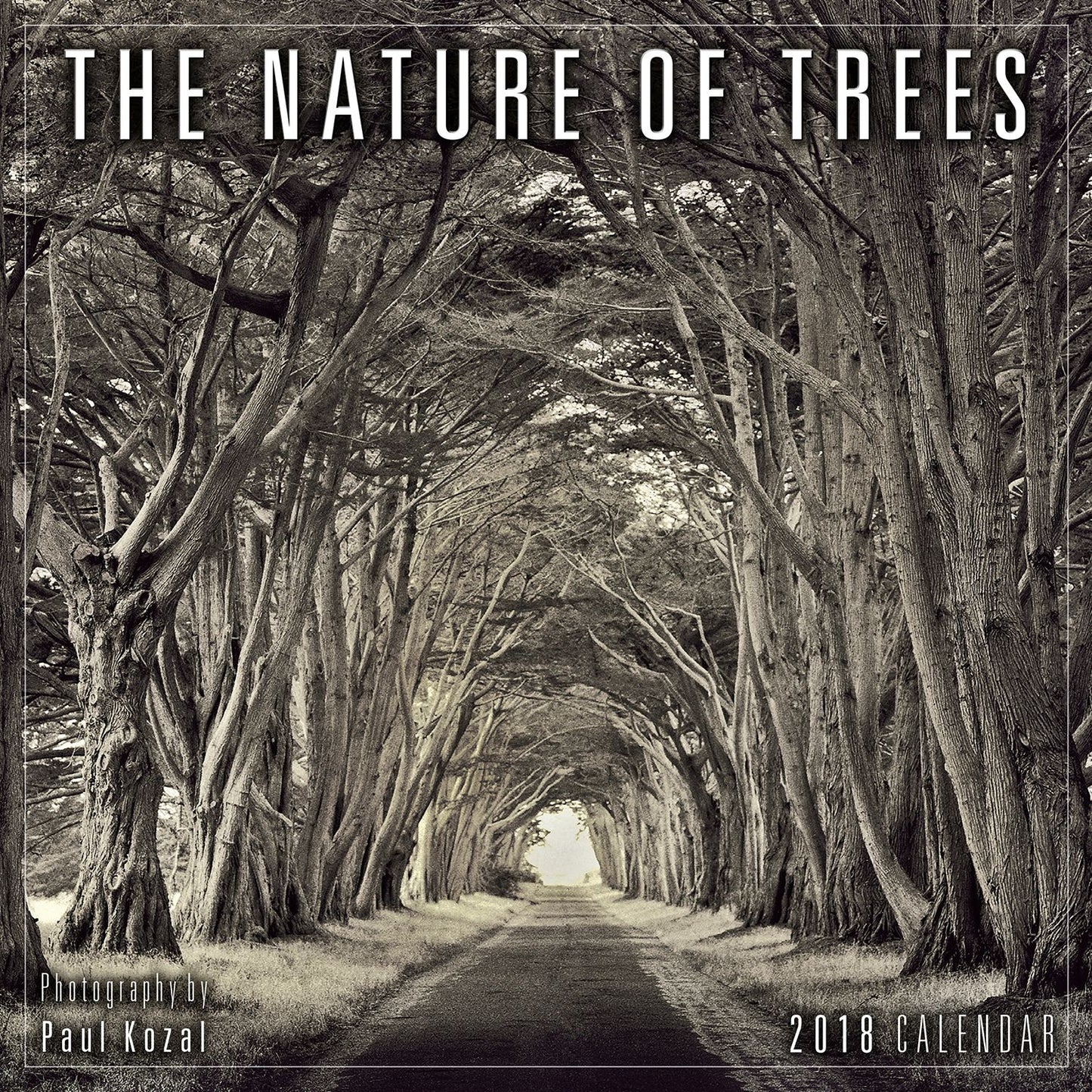 2018 Nature Of Trees, The Photography By Paul Kozal Mini Calendar