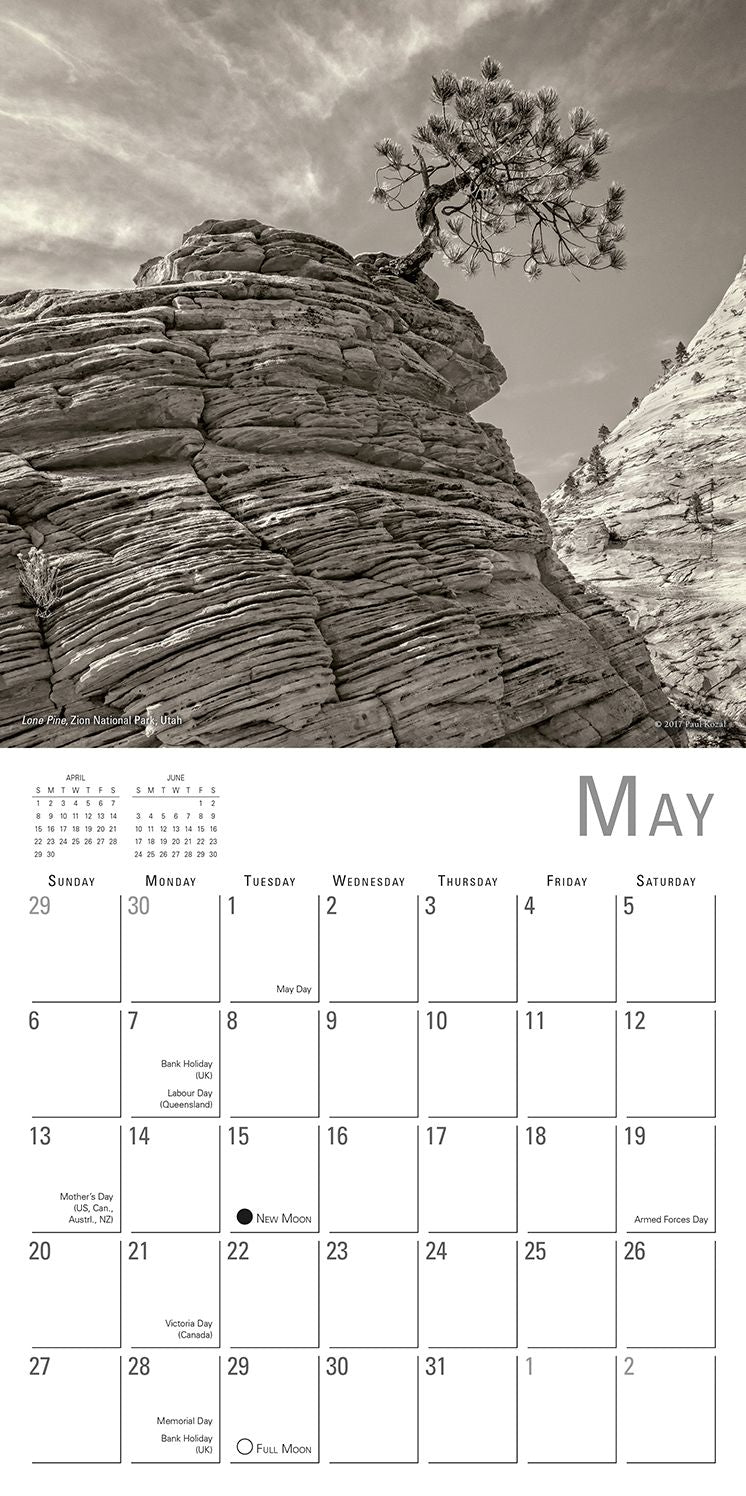 2018 Nature Of Trees, The Photography By Paul Kozal Mini Calendar