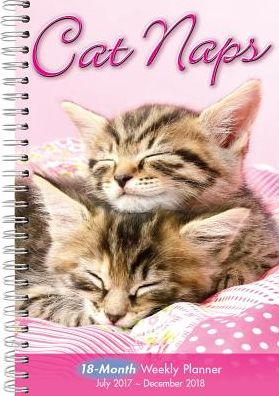 2018 Cat Naps Engagement Calendar