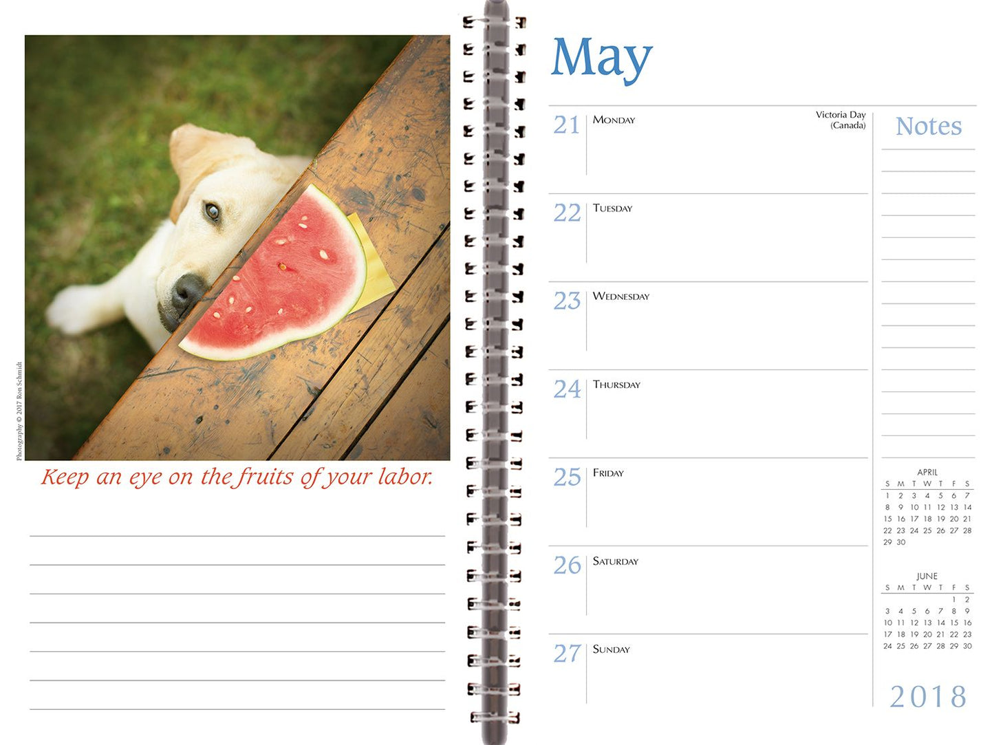 2018 Dogma: A Dogs Guide To Life Ron Schmidt Engagement Calendar