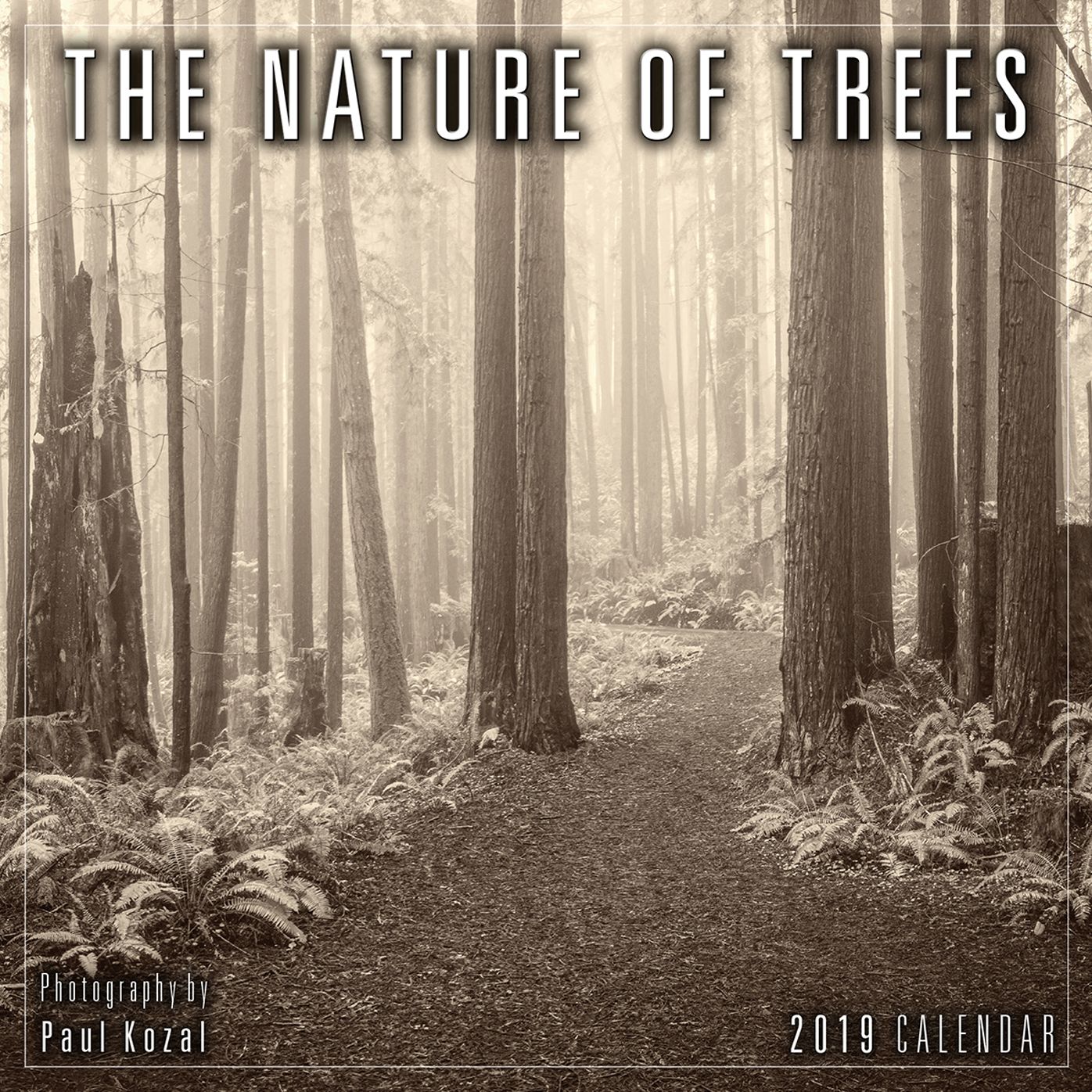 2019 the Nature of Trees Mini Calendar: By Sellers Publishing