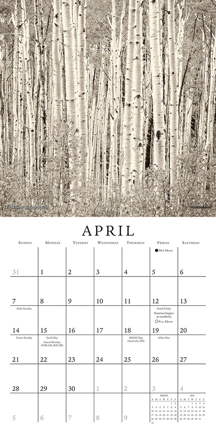 2019 the Nature of Trees Mini Calendar: By Sellers Publishing