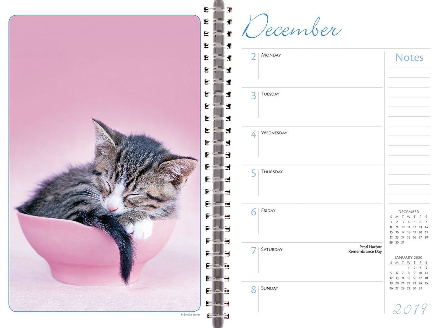 2019 Cat Naps 18-Month Weekly Planner: By Sellers Publishing