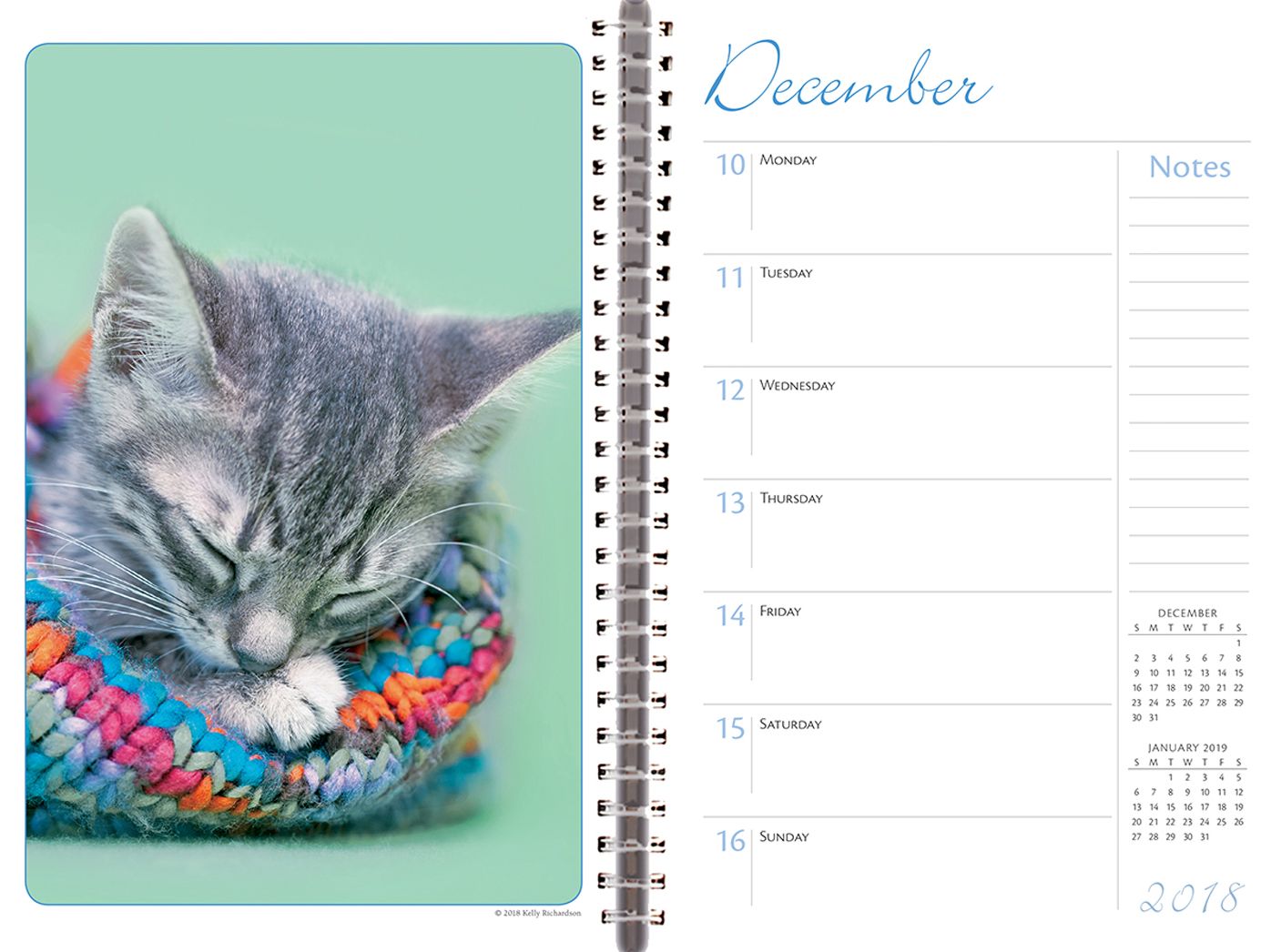 2019 Cat Naps 18-Month Weekly Planner: By Sellers Publishing