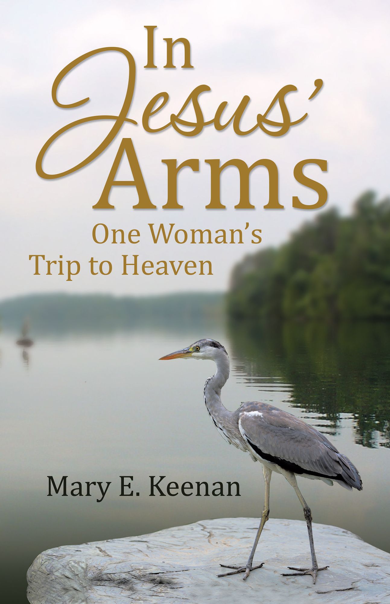 In Jesus Arms: One Womans Trip to Heaven