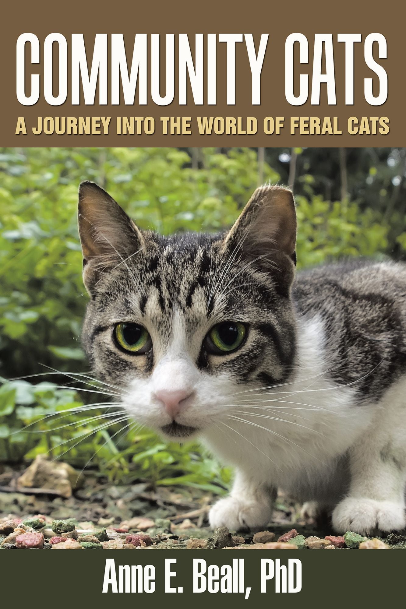 Community Cats: A Journey into the World of Feral Cats