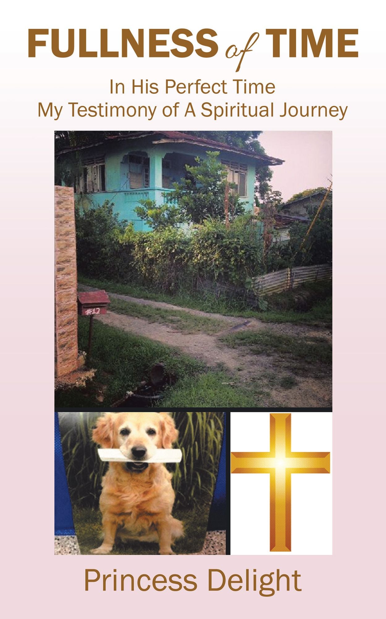 Fullness of Time: In His Perfect Time My Testimony of a Spiritual Journey