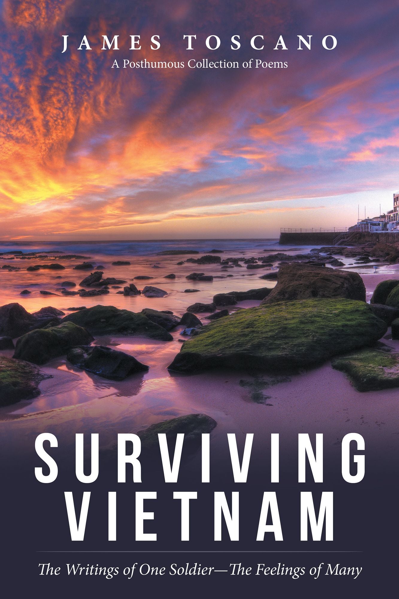 Surviving Vietnam: The Writings of One Soldier--The Feelings of Many