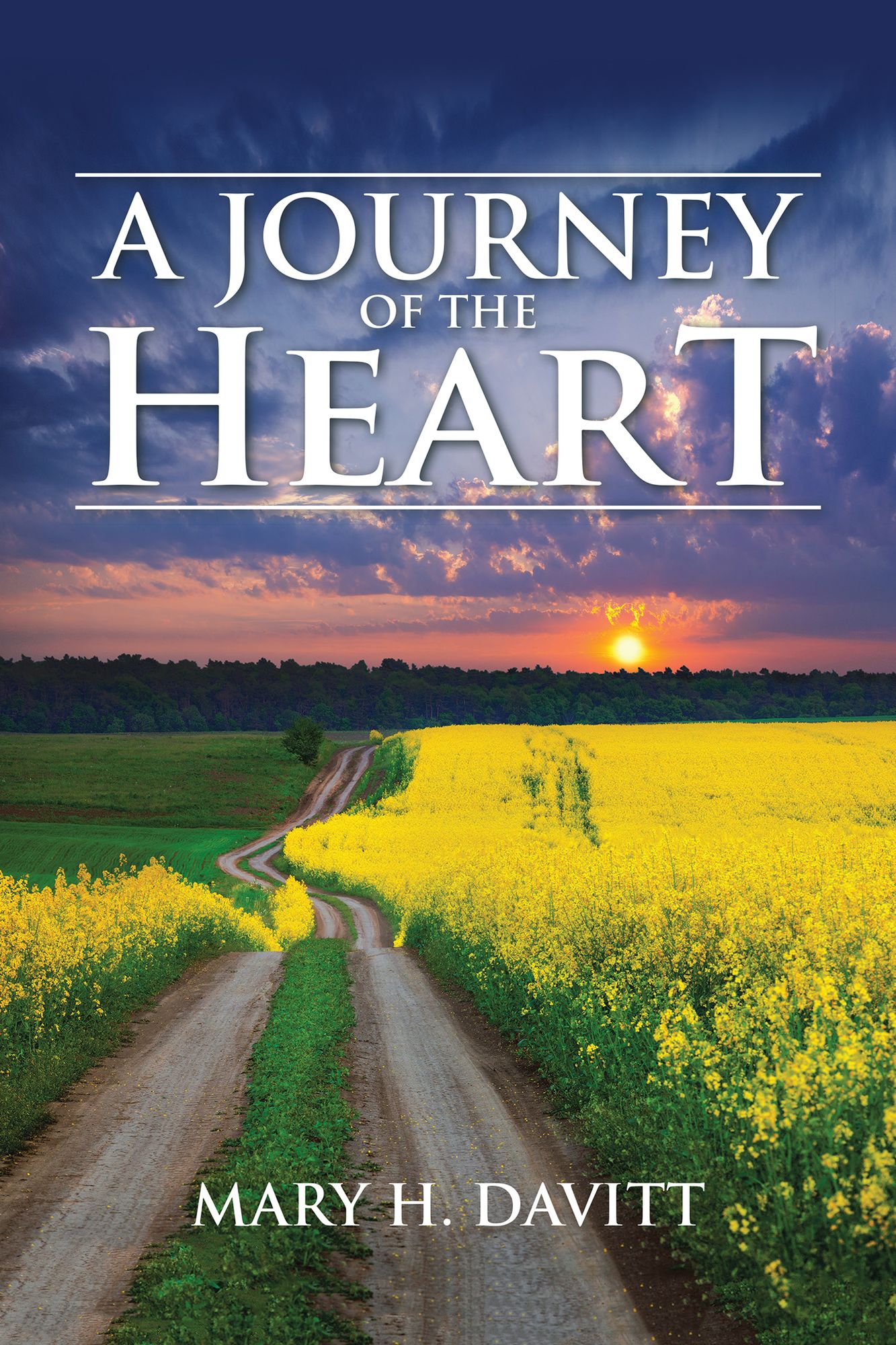 A Journey of the Heart
