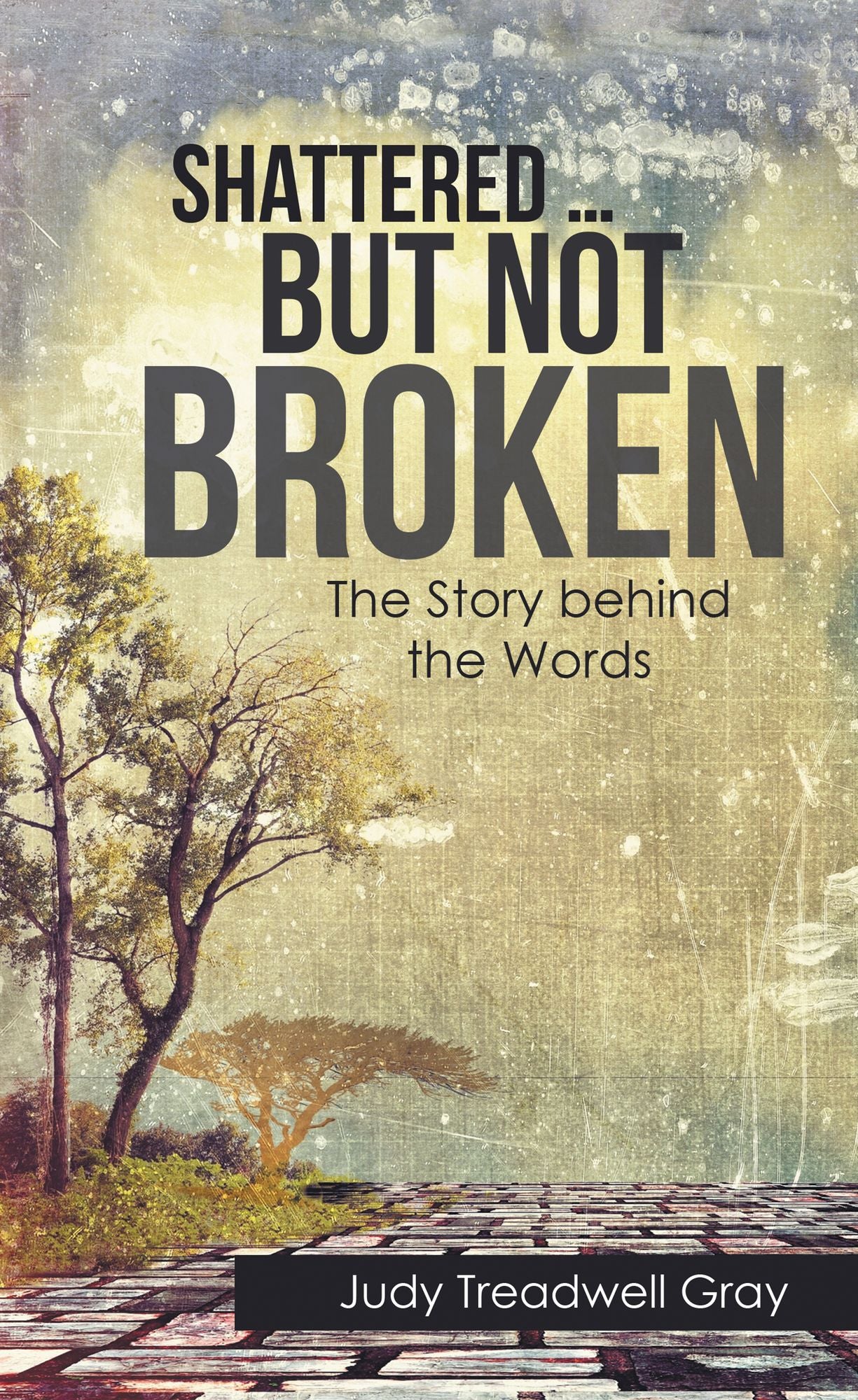 Shattered ... but Not Broken: The Story Behind the Words