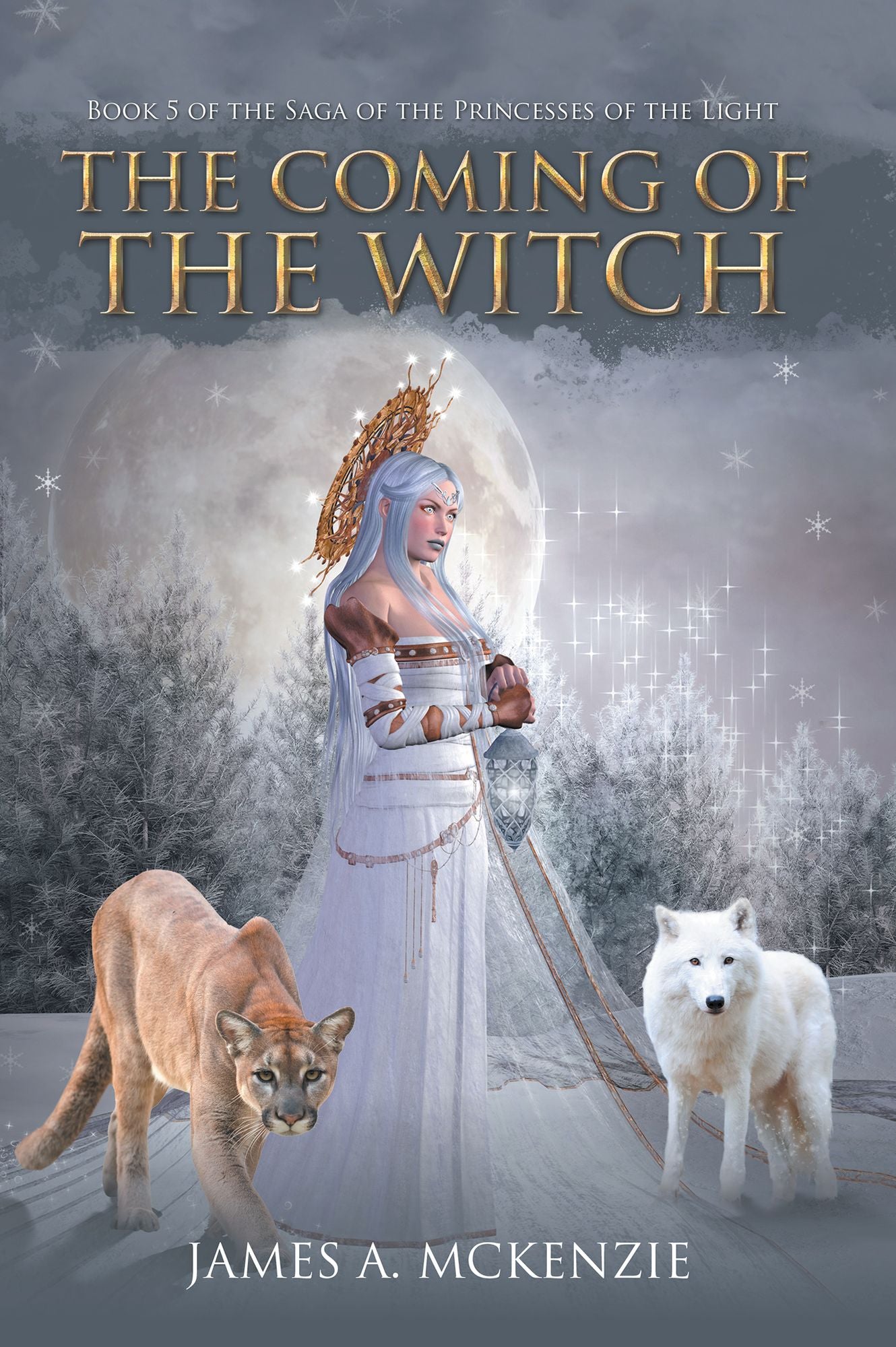 The Coming of the Witch: Book 5 of the Saga of the Princesses of the Light