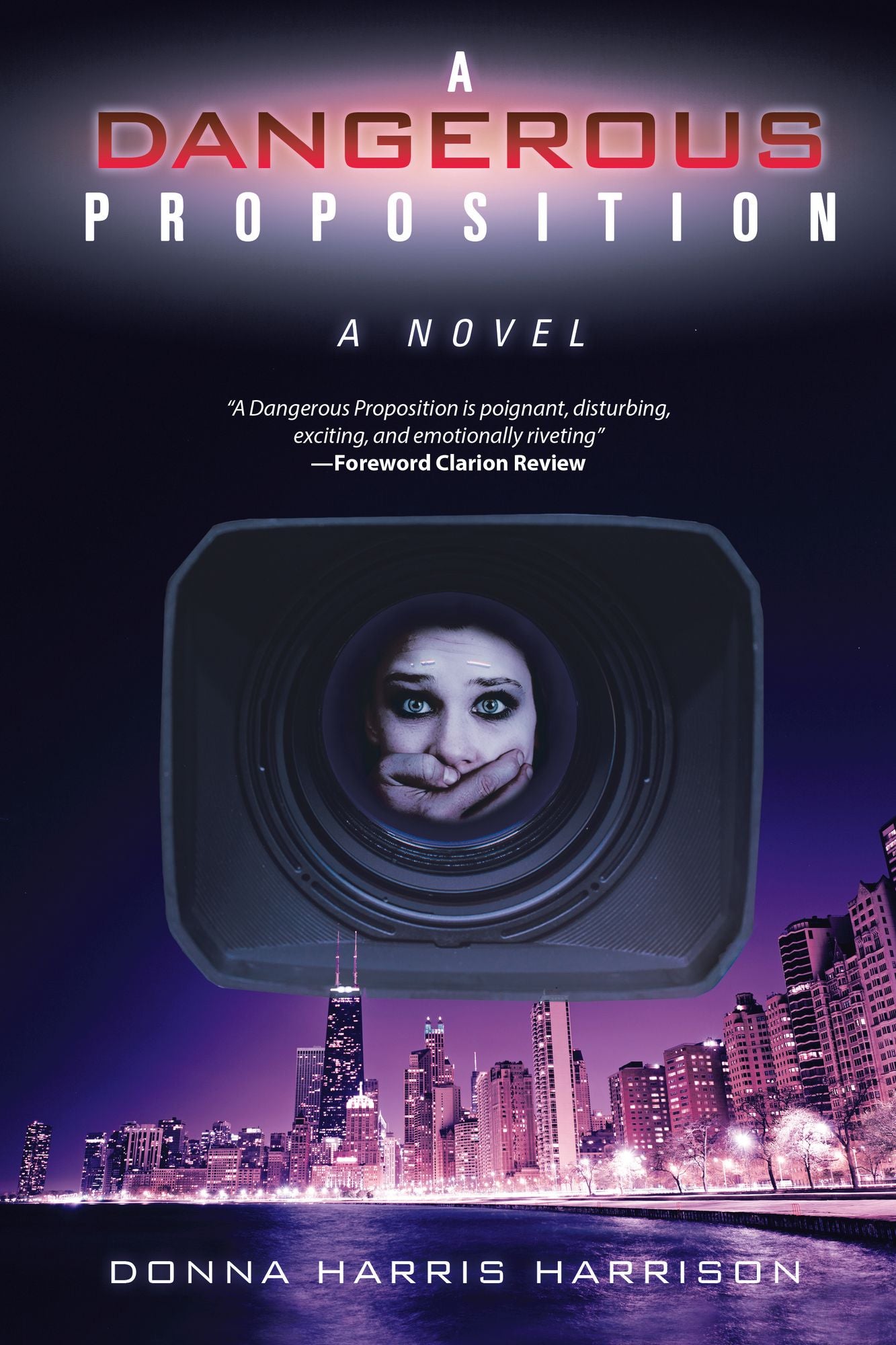 A Dangerous Proposition: A Novel