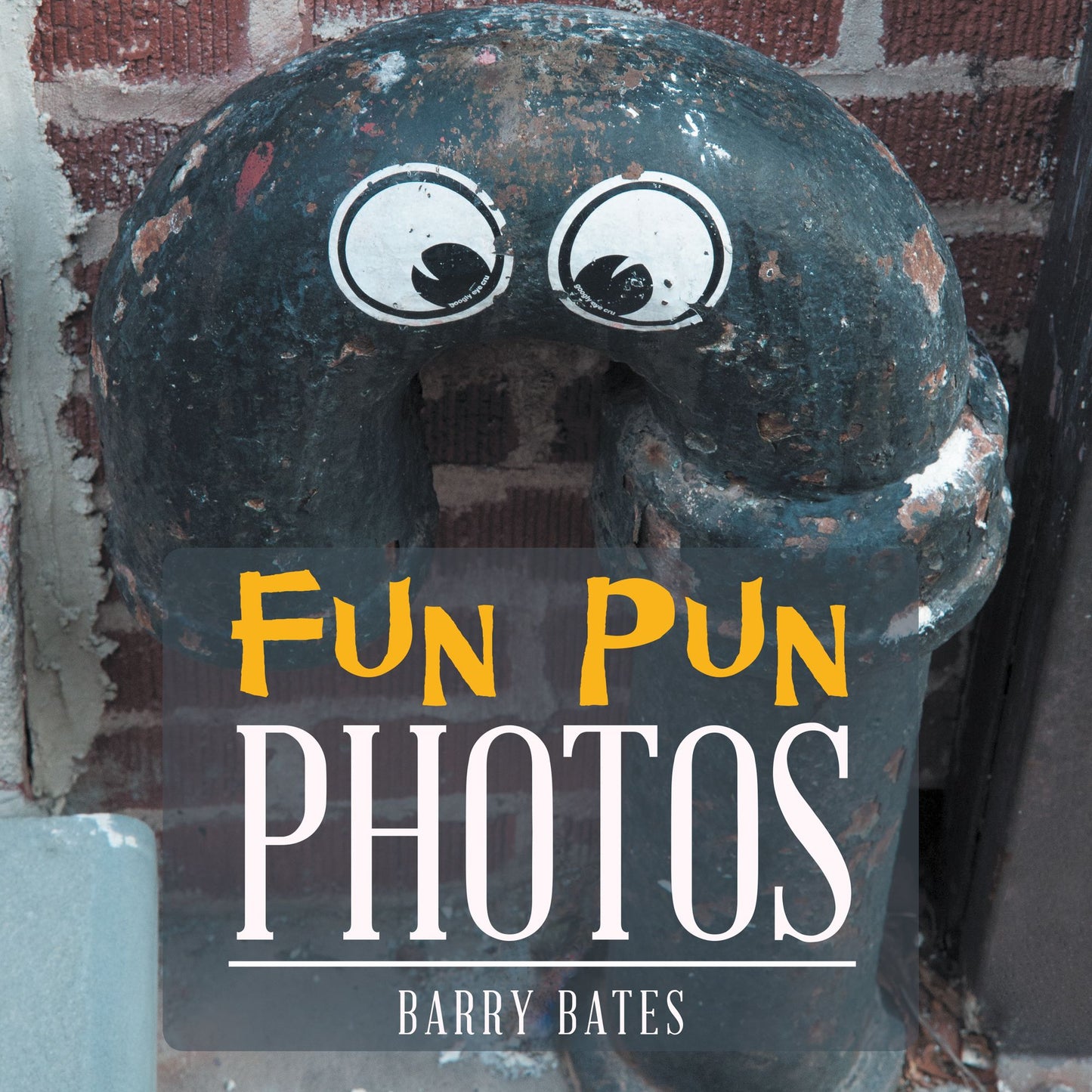 Fun Pun Photos: How to Make Photos Humorous